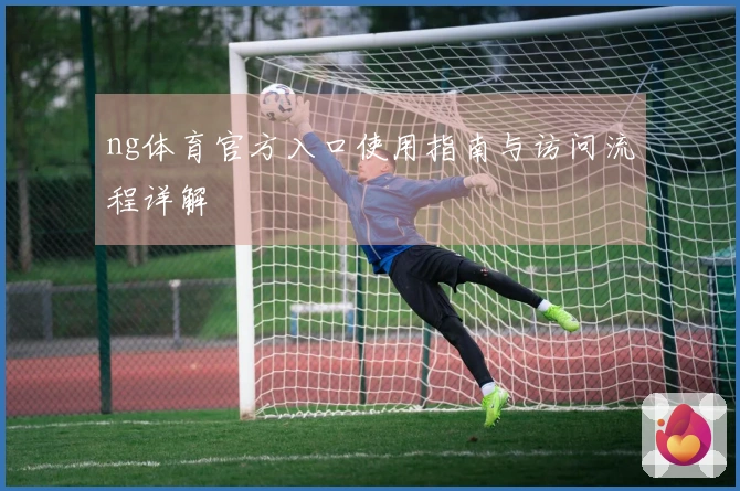 ng体育官方入口使用指南与访问流程详解