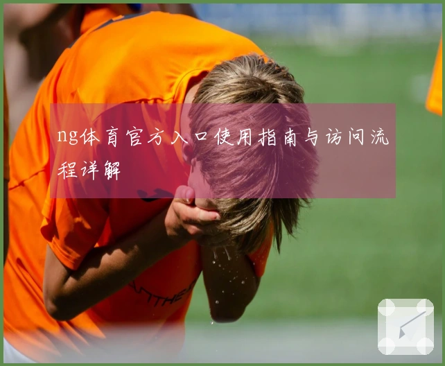 ng体育官方入口使用指南与访问流程详解